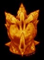 glew_Dr